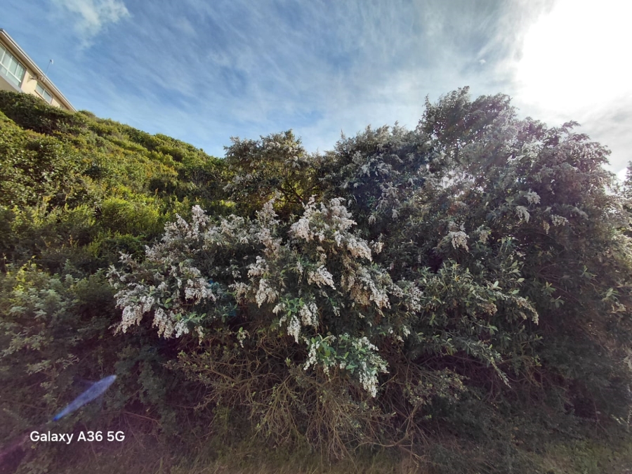 0 Bedroom Property for Sale in Paradise Beach Eastern Cape